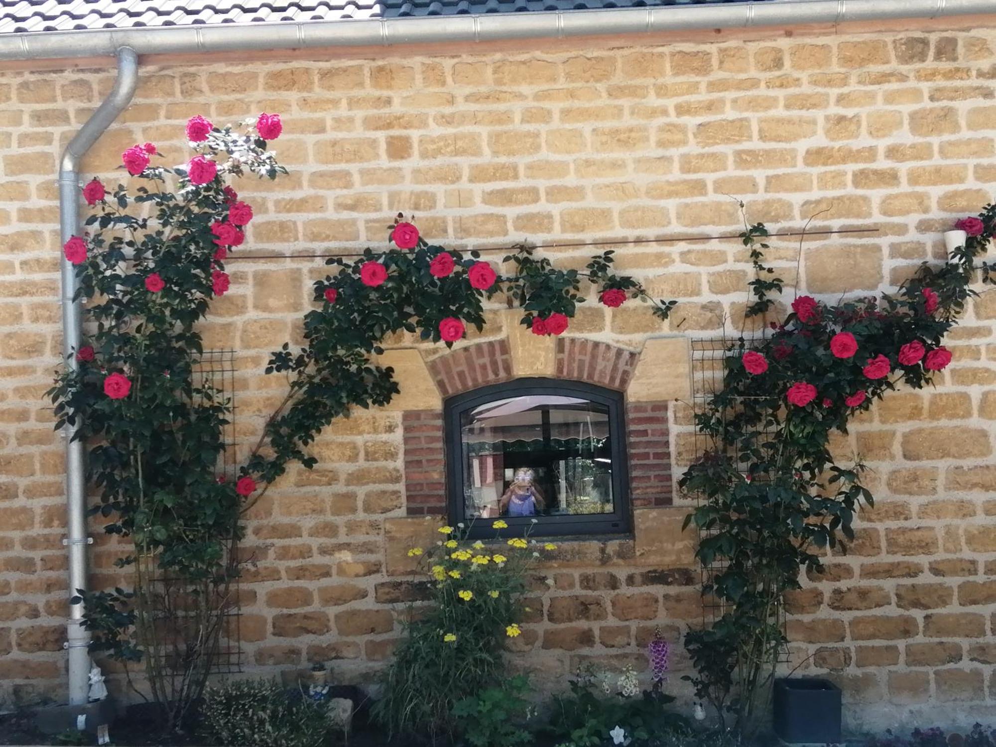 O Jardin De Boutancourt Villa Exterior photo