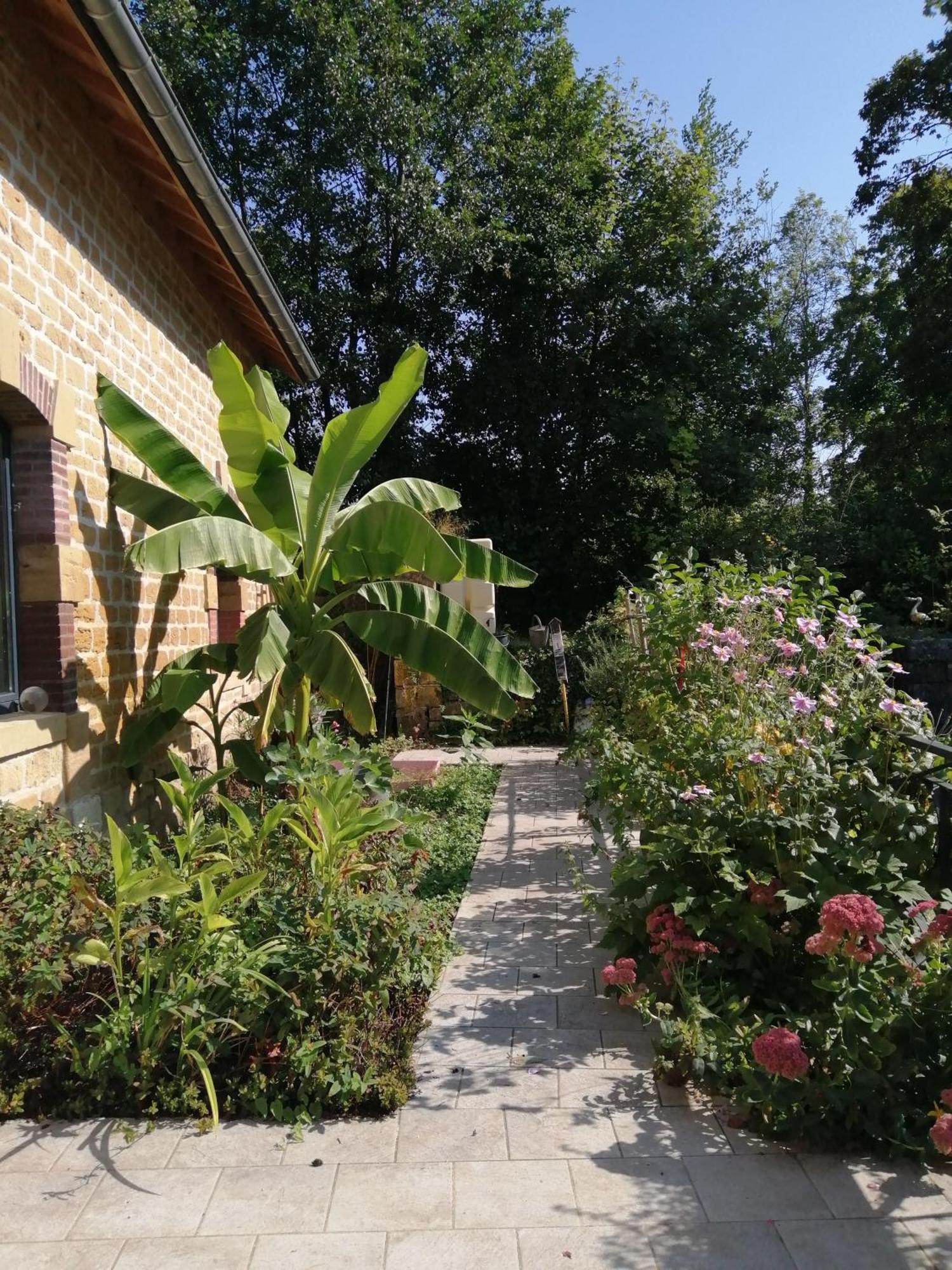 O Jardin De Boutancourt Villa Exterior photo